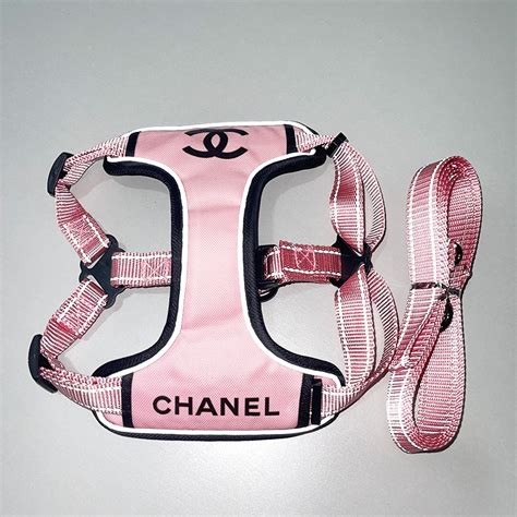 cheap chanel dog clothes|Chanel small dog carrier.